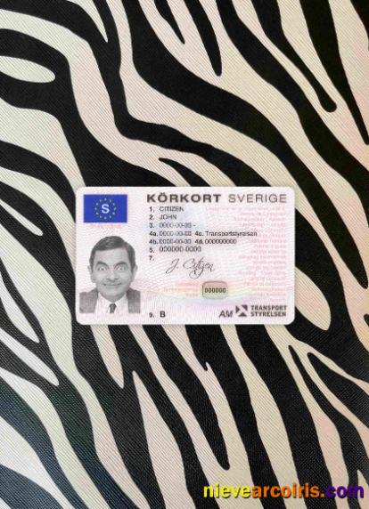 Sweden driving license (2009-2016) photolook